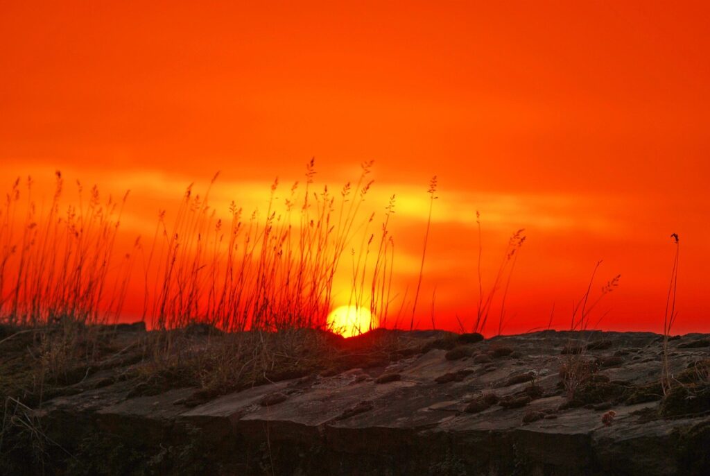 sun, afterglow, nature, dawn, sunrise, sunset, evening atmosphere, fire red