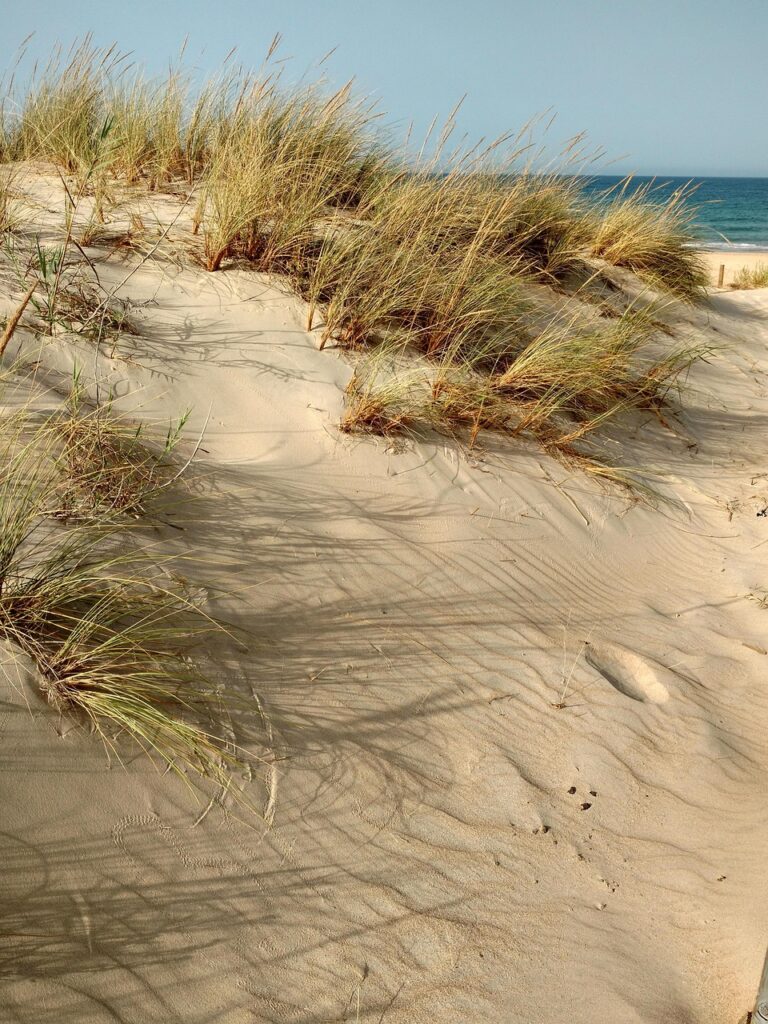 dune, sand, beach, landscape, nature, dune, sand, beach, beach, beach, beach, beach
